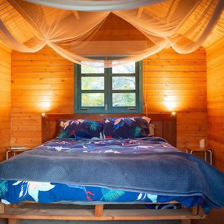 Tui Ridge Eco Cabins Aongatete エクステリア 写真