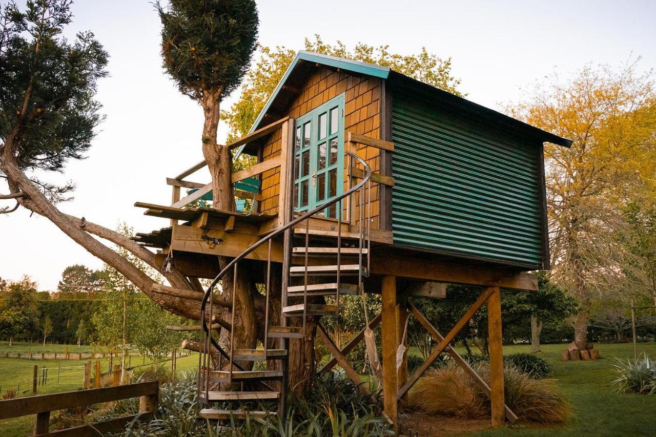 Tui Ridge Eco Cabins Aongatete エクステリア 写真