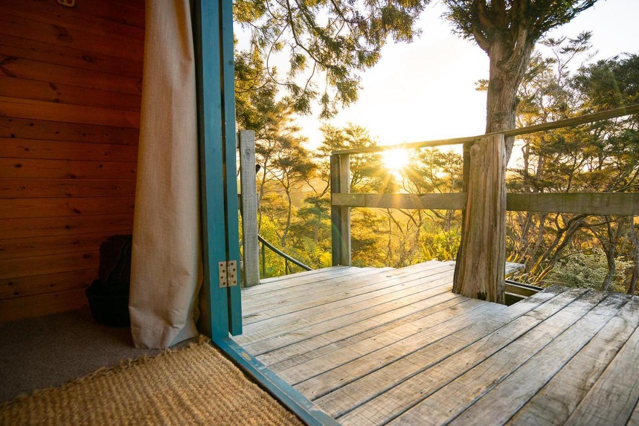 Tui Ridge Eco Cabins Aongatete エクステリア 写真
