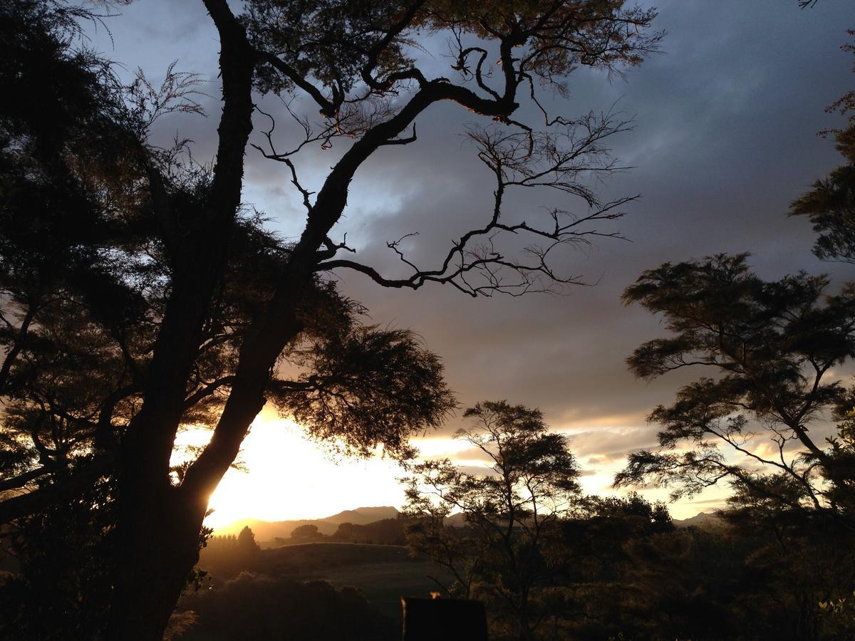 Tui Ridge Eco Cabins Aongatete エクステリア 写真