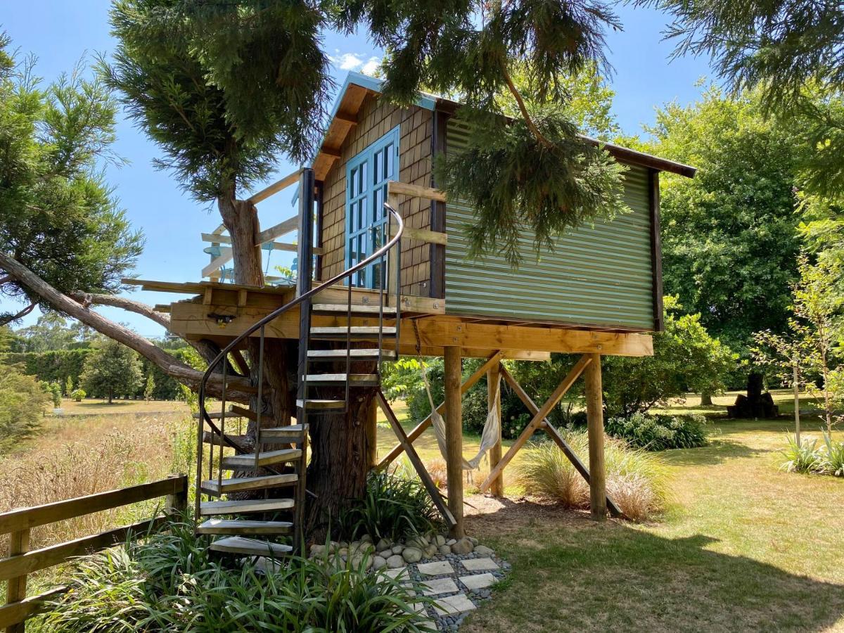 Tui Ridge Eco Cabins Aongatete エクステリア 写真