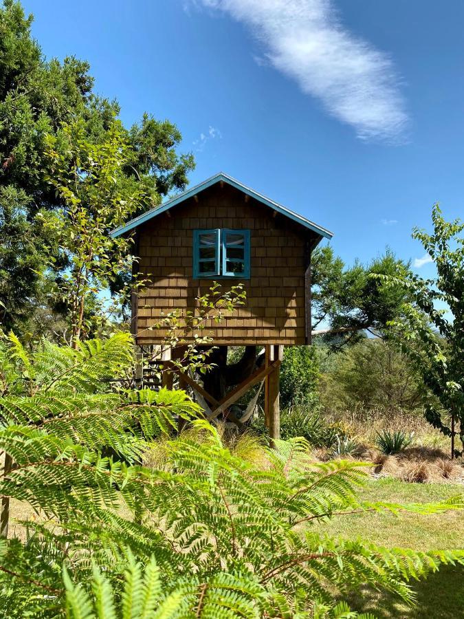 Tui Ridge Eco Cabins Aongatete エクステリア 写真